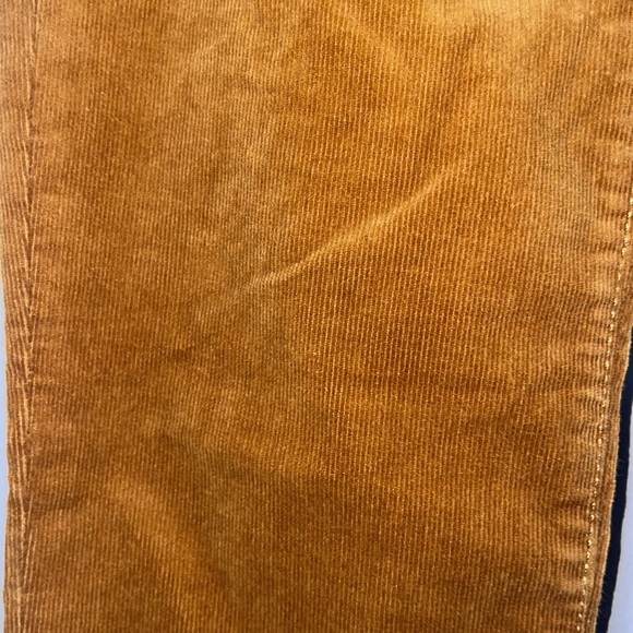 NWT J.Crew Pants - Picture 6 of 8